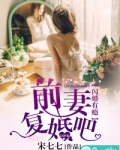 闪婚前妻不可欺