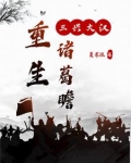 三国之诸葛重生