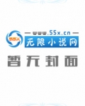 乡村官道小说